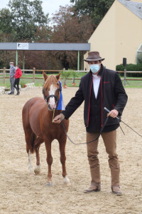 Freddy POUTEAU avec l'étalon Velvet Atomic Dream qui a eu la 2ème place